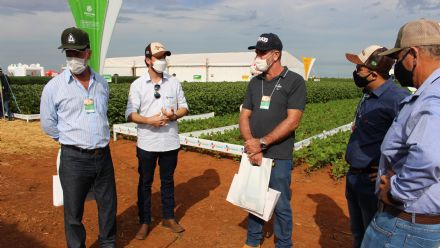 8� Soja In T�cnica