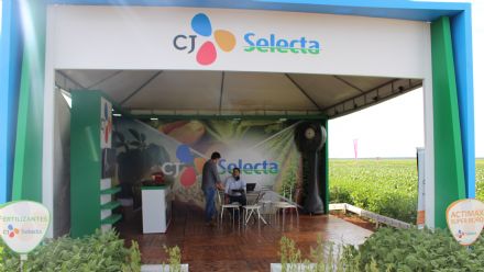 8� Soja In T�cnica