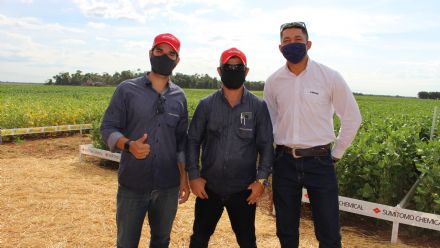 8� Soja In T�cnica