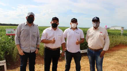 8� Soja In T�cnica