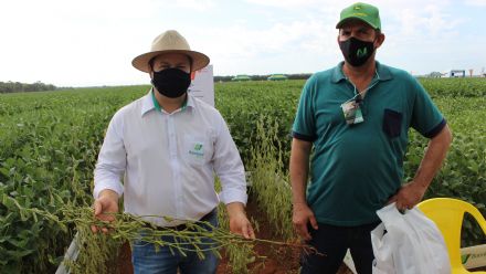 8� Soja In T�cnica