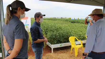 8� Soja In T�cnica