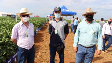 8� Soja In T�cnica