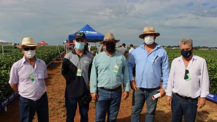 8� Soja In T�cnica