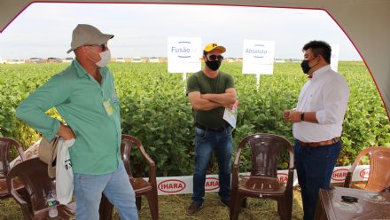 8� Soja In T�cnica