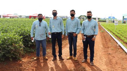 8� Soja In T�cnica