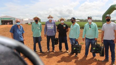 8� Soja In T�cnica