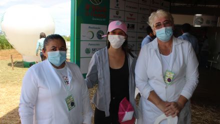 8� Soja In T�cnica