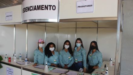 8� Soja In T�cnica