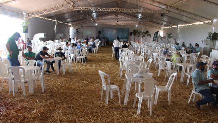 8� Soja In T�cnica