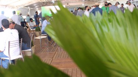 8� Soja In T�cnica