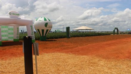 8� Soja In T�cnica