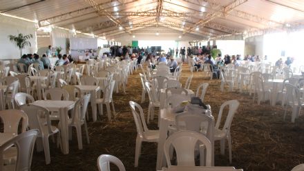 8� Soja In T�cnica