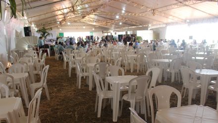 8� Soja In T�cnica