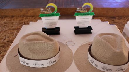 8� Soja In T�cnica