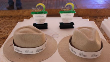 8� Soja In T�cnica