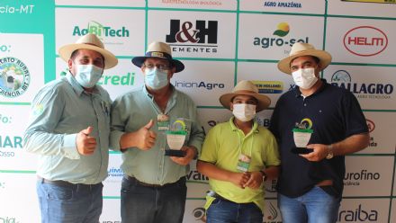 8� Soja In T�cnica