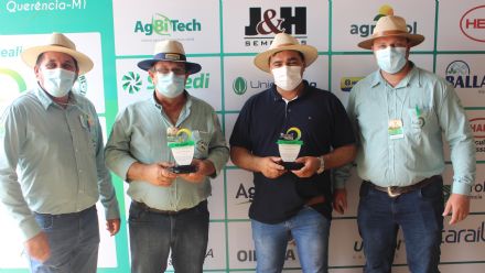 8� Soja In T�cnica