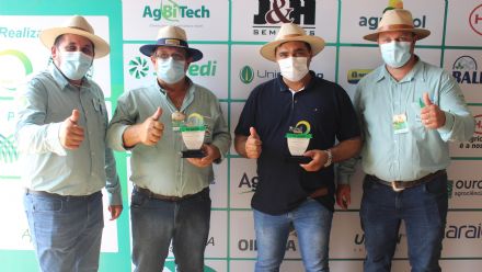 8� Soja In T�cnica