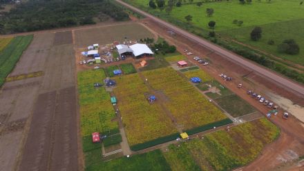 IV DIA DE CAMPO XINGU PESQUISA