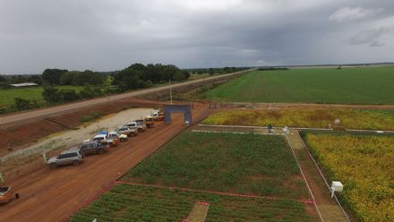 IV DIA DE CAMPO XINGU PESQUISA