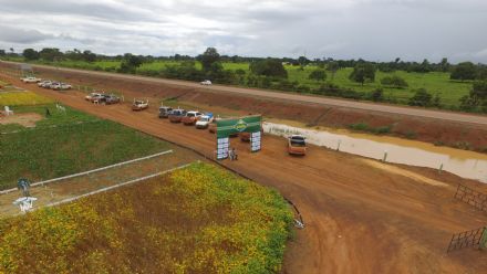 IV DIA DE CAMPO XINGU PESQUISA