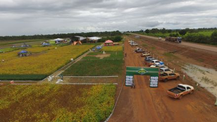 IV DIA DE CAMPO XINGU PESQUISA