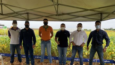 IV DIA DE CAMPO XINGU PESQUISA