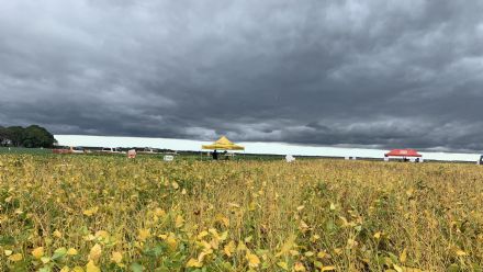 IV DIA DE CAMPO XINGU PESQUISA