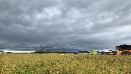 IV DIA DE CAMPO XINGU PESQUISA