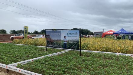 IV DIA DE CAMPO XINGU PESQUISA