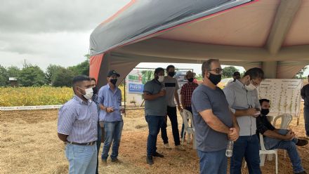 IV DIA DE CAMPO XINGU PESQUISA