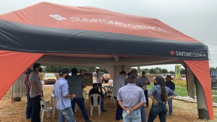 IV DIA DE CAMPO XINGU PESQUISA