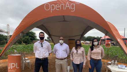 IV DIA DE CAMPO XINGU PESQUISA