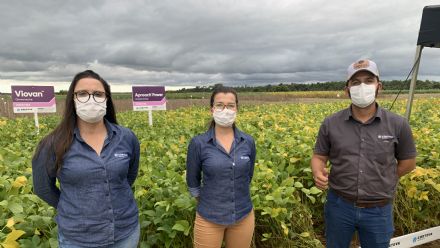 IV DIA DE CAMPO XINGU PESQUISA