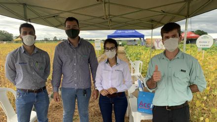 IV DIA DE CAMPO XINGU PESQUISA