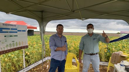 IV DIA DE CAMPO XINGU PESQUISA