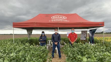 IV DIA DE CAMPO XINGU PESQUISA