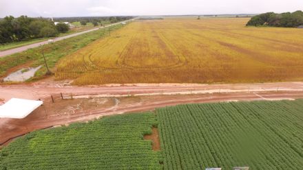 V DIA DE CAMPO XINGU PESQUISA E CONSULTORIA AGRON�MICA - 2022