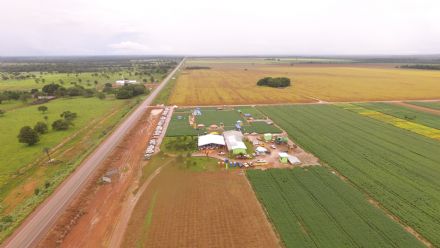 V DIA DE CAMPO XINGU PESQUISA E CONSULTORIA AGRON�MICA - 2022