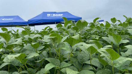 V DIA DE CAMPO XINGU PESQUISA E CONSULTORIA AGRON�MICA - 2022