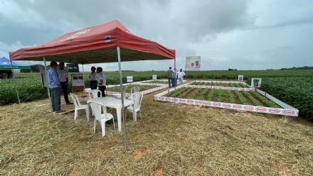 V DIA DE CAMPO XINGU PESQUISA E CONSULTORIA AGRON�MICA - 2022