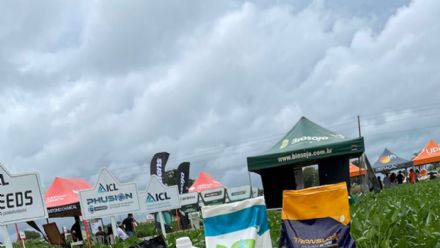 V DIA DE CAMPO XINGU PESQUISA E CONSULTORIA AGRON�MICA - 2022