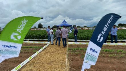 V DIA DE CAMPO XINGU PESQUISA E CONSULTORIA AGRON�MICA - 2022