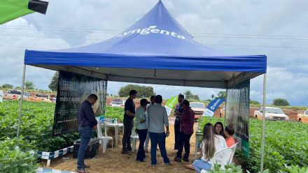 V DIA DE CAMPO XINGU PESQUISA E CONSULTORIA AGRON�MICA - 2022