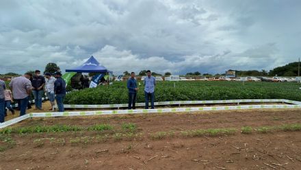 V DIA DE CAMPO XINGU PESQUISA E CONSULTORIA AGRON�MICA - 2022