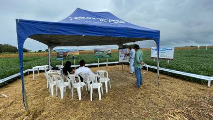 V DIA DE CAMPO XINGU PESQUISA E CONSULTORIA AGRON�MICA - 2022
