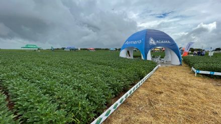 V DIA DE CAMPO XINGU PESQUISA E CONSULTORIA AGRON�MICA - 2022