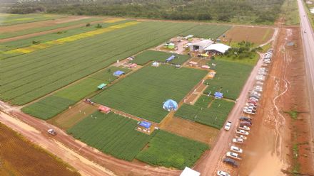 V DIA DE CAMPO XINGU PESQUISA E CONSULTORIA AGRON�MICA - 2022