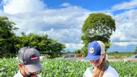 DIA DE CAMPO SUPREMA AGRO - CONFRESA